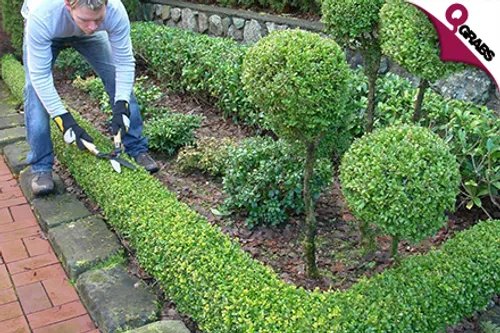 For QR115 Set Up the Ultimate Outdoor Space with a Gardening & Landscaping Design Diploma Course! (QR1028 Value)